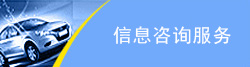信息咨询服务